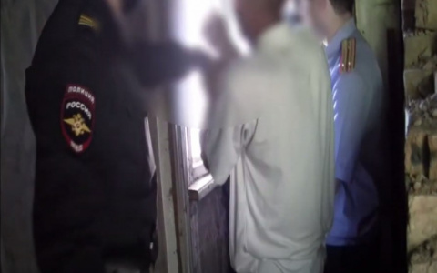 Голову пробили кочергой: останки женщины нашли под Ярославлем. Видео