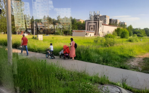 «Онлайн-невыносимо»: назвали сроки начала учебного года