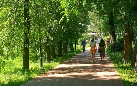 В Ярославской области введен особый режим: в чем причина