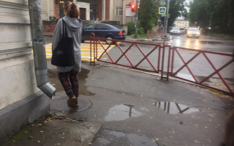 Шторм и грозы обрушатся на Ярославль: экстренное предупреждение МЧС