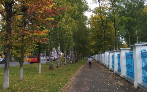 Температура упадет до 10 градусов: синоптики предупреждают ярославцев о резком похолодании