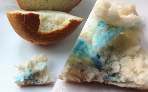 «Там остатки маски!»: страшную находку обнаружила ярославна в буханке хлеба