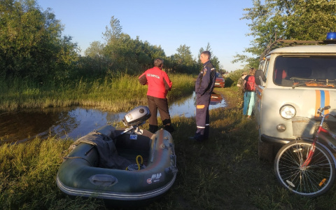 «Водолазы проверяют Волгу»: маленький мальчик пропал под Ярославлем