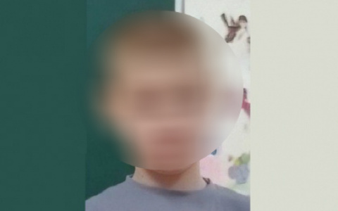 Прочесывайте дно: из-за исчезновения мальчика в Рыбинске возбудили уголовное дело