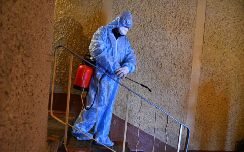 Ученые обнаружили самую заразную мутацию коронавируса