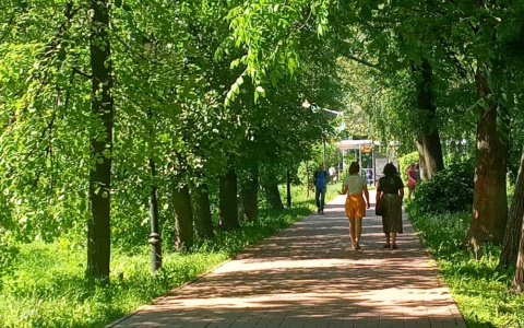 «Жара вернется, но не та»: Гидрометцентр о том, когда ждать тёплой погоды в Ярославле