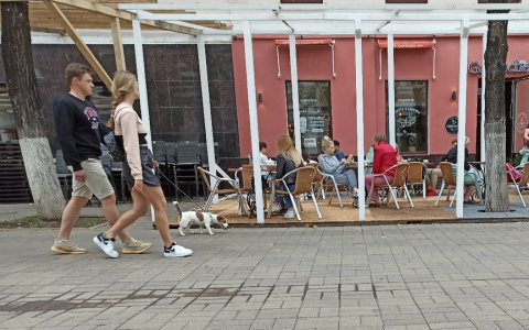 "Вот и открыли летние веранды": новые цифры по коронавирусу озвучил оперштаб в Ярославле