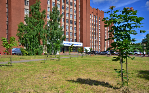 У Политеха появилась кленовая аллея в знак памяти погибшим в ВОВ ярославцам