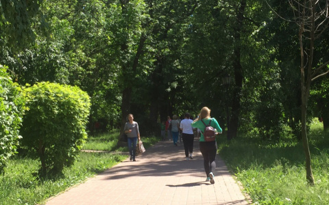 «Поможем каждому ярославцу сделать свой выбор»: принятые изменения упростят голосование