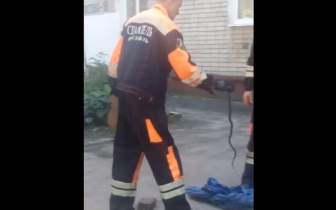Ползла в подъезд: змея во дворе напугала ярославцев