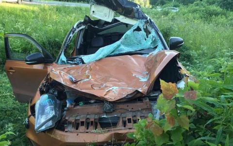 В салоне был ребенок: подробности жуткого ДТП с лосем под Ярославлем