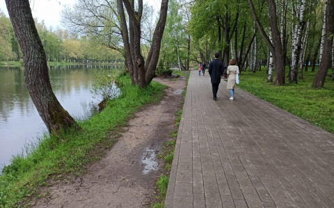 Синоптики предрекают тяжелый август: в чем причина