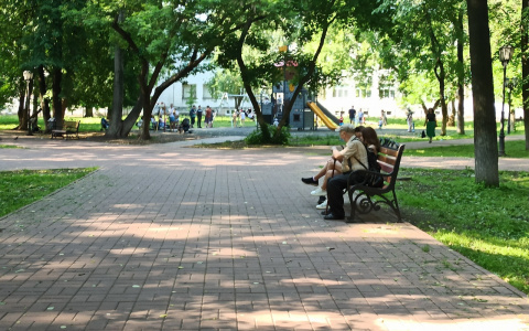 Июльские заморозки: метеорологи спрогнозировали их вероятность в регионах