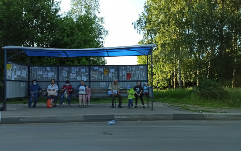 "Из принципа не езжу": в Ярославле пассажиры раскритиковали "зажравшийся" маршрут