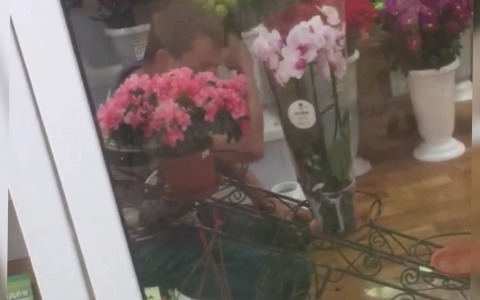 «Он достанет нож»: под крики ребенка буйного ярославца закрыли в цветочной палатке