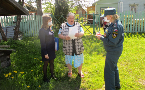Началась охота на дачников: за что штрафуют в Ярославле