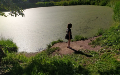 На 180 градусов: о неожиданной смене погоды в Ярославле сообщили синоптики