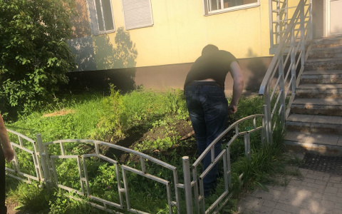 Начались облавы на дачников: список, за что штрафуют