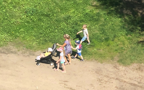 Когда откроют детсады: оперштаб озвучил новые цифры по ковиду в Ярославской области