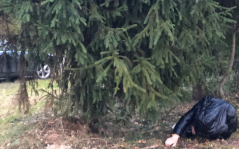 В Ярославле погиб мужчина: где нашли труп