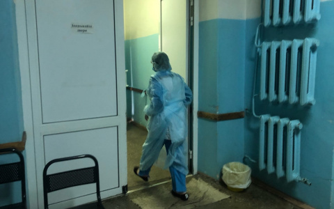 Связь ковида со свинкой нашел врач из Ярославля