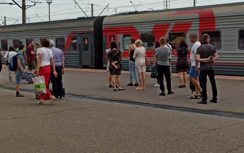 Бубонная чума в соседних странах: медики оценили вероятность вспышки в России