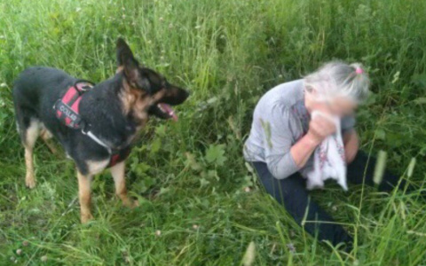 Бабушка рыдала, сидя на корточках: собака отыскала пропавшую ярославну в лесу