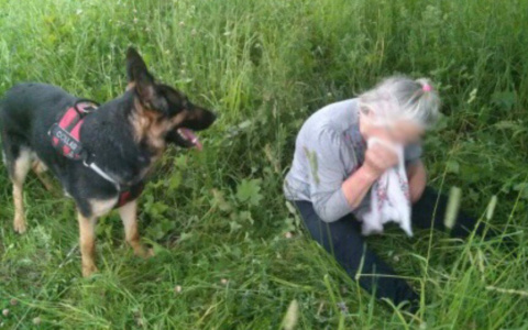 Два жутких дня в лесу: пропавшую под Ярославлем бабушку спасла... собака
