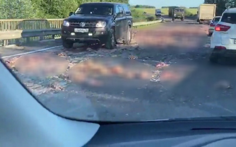 Кровь брызжет во все стороны: что творится на трассе под Ярославлем. Треш-видео