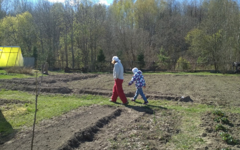 Осудили из-за бани: дачник из Ярославля влетел на 335 тысяч