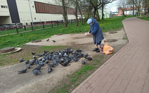 Она - в животе: нашли основную причину старения