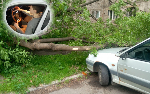 "Три года просили": из-за чего бунтуют ярославские водители