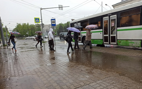Ниже десяти градусов: самый холодный день недели назвали синоптики