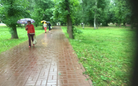 Зубы сведет: арктический воздух ворвется в Ярославль