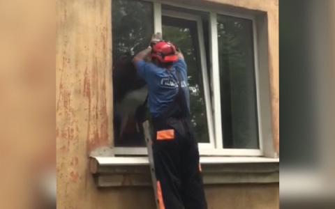 "Он кричал от боли": спасатели с лестницами окружили жилой дом в Ярославле