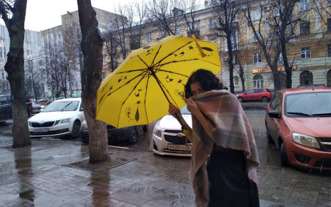 Штормовой ветер собьёт с ног: МЧС предупреждают ярославцев о погодных аномалиях