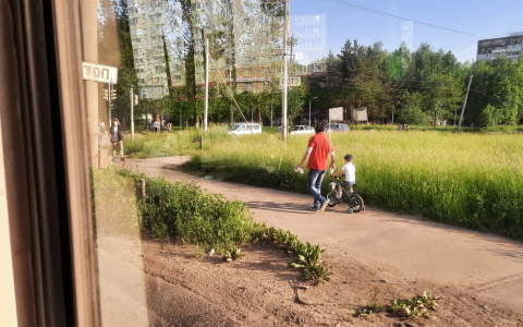 К сентябрю надо: о выплатах в 10 тысяч на ребенка в августе