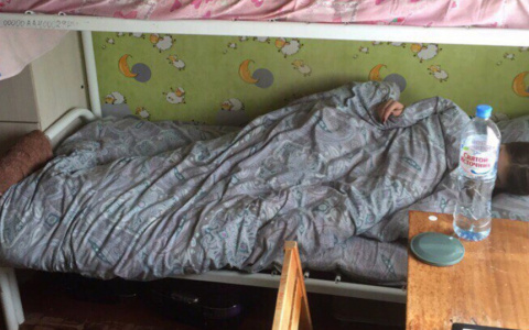 Назвали способ быстро превратиться из совы в жаворонка