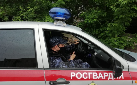 Преступницу, находящуюся в федеральном розыске взяли под Ярославлем: подробности