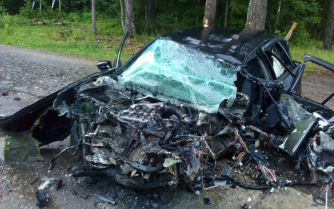 Смерть была неизбежна: водитель разбился в ДТП под Ярославлем