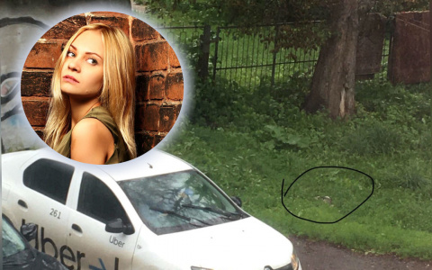 «Псы разорвали ее на моих глазах»: ярославна откровенно о жестокости бездомных собак