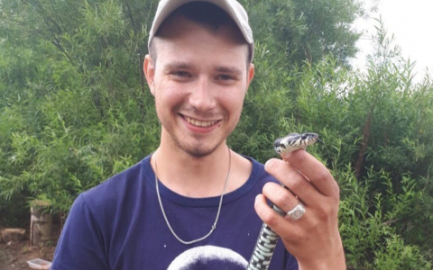 "Бегом от них": ярославцы рассказали о нашествии змей на дачные участки