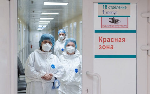 За сорок каждый день: как растет число больных ковидом в Ярославской области