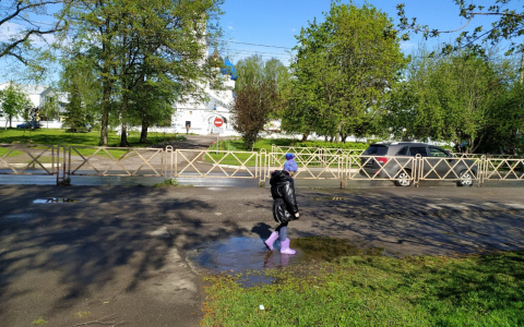 Ждите заморозков: синоптики дали прогноз на август 2020