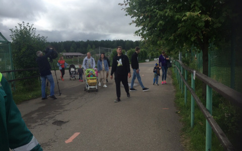 Новые выплаты для родителей-одиночек: громкое заявление Госдумы