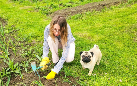 Назвали фрукт с грядки для вечной молодости