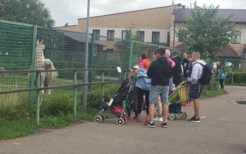 В России - тьма: назвали самое популярное в мире женское имя