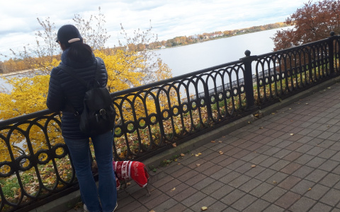 Холод накроет внезапно: синоптики дали прогноз по месяцам на осень-2020