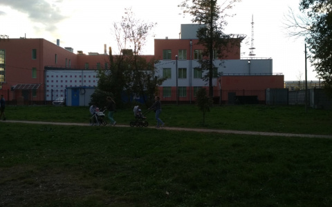 Ты мне не нужна: в Ярославле арестовали мать за плохое отношение к дочери