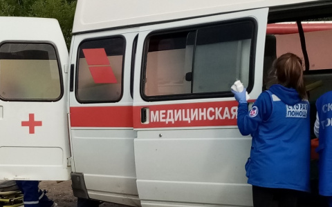 Железные ворота сдавили голову: за ЧП в Ярославле ответит школа